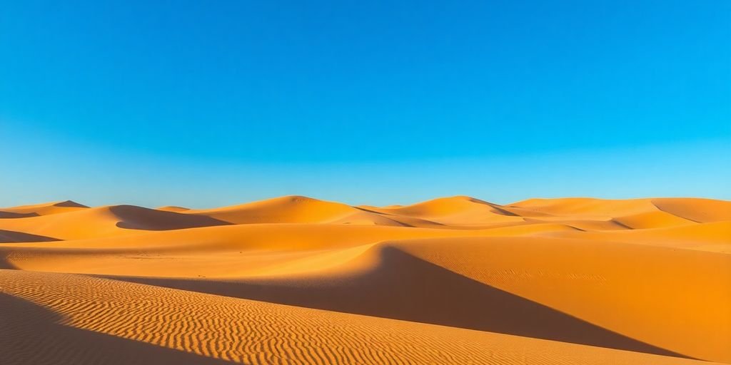 Sand dunes marrakech