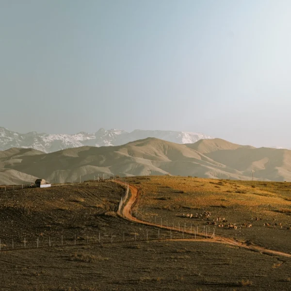 Agafay desert Marrakech rocky landscape with Atlas Mountains view, scenic dirt road, camel grazing area, and peaceful sunset atmosphere near Marrakech desert camp