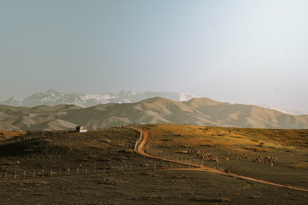 Agafay desert Marrakech rocky landscape with Atlas Mountains view, scenic dirt road, camel grazing area, and peaceful sunset atmosphere near Marrakech desert camp