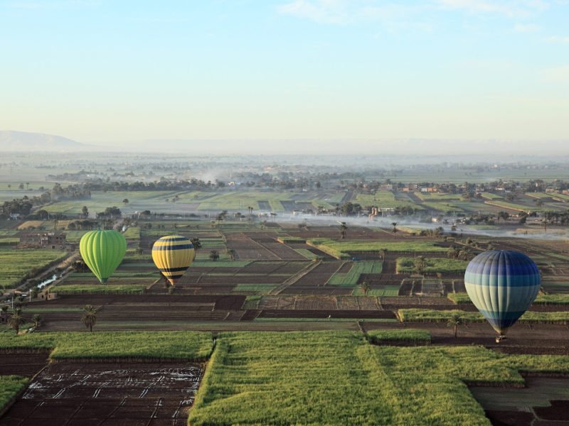 Hot air balloons over fields near luxor