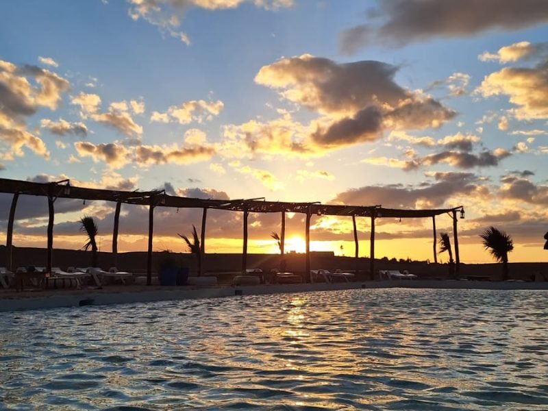 WhatsApp Image 2026-03-13 at 01.08.13 (1)