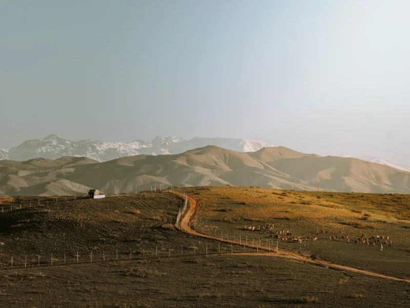 Agafay desert Marrakech rocky landscape with Atlas Mountains view, scenic dirt road, camel grazing area, and peaceful sunset atmosphere near Marrakech desert camp